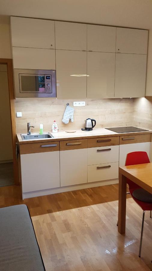 Apartment Rokytka 217